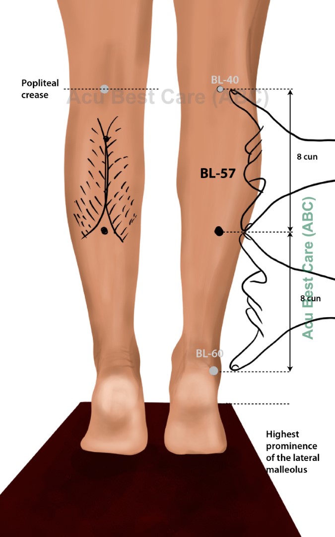 Acubestcare Meridian UB-57 or BL-57